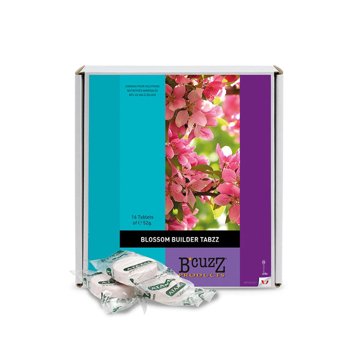 B'Cuzz BLOSSOM Builder TABZZ x 16 - ATAMI Tabs zum Auflösen