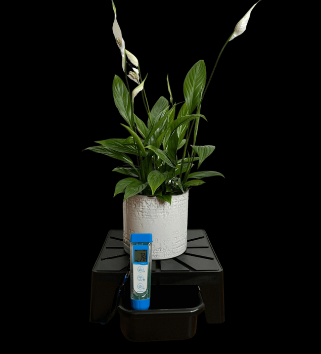 Drain Master Abtropfständer