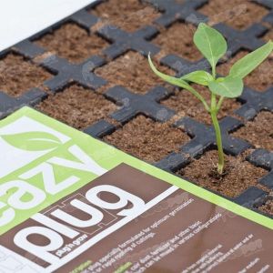Eazy Plug 12er Anzuchttray, steckfertig