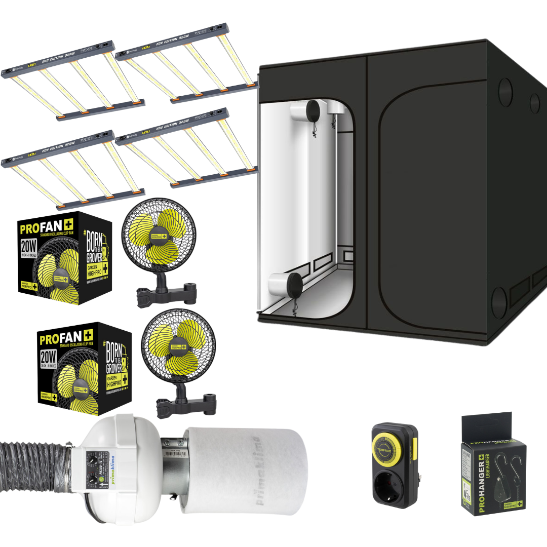 Growbox Komplettset Low Budget 200x200x200 – ideales Set für Einsteiger im Indoor-Gardening. Enthält alle notwendigen Komponenten für einen erfolgreichen Anbau, darunter eine leistungsstarke LED-Beleuchtung, Belüftungssysteme und hochwertige Materialien. Perfekt für kostengünstigen und effizienten Pflanzenanbau zu Hause.