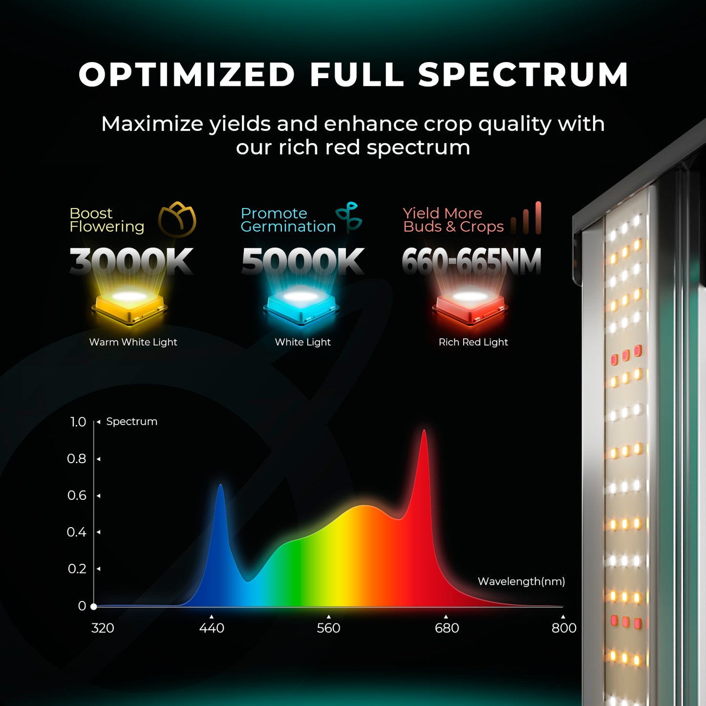 Mars Hydro FC4000 EVO LED Grow Light + 120x60x180cm Grow Tent Kits +4" Lüftungskits für 3 Pflanzen – Produktansicht 4