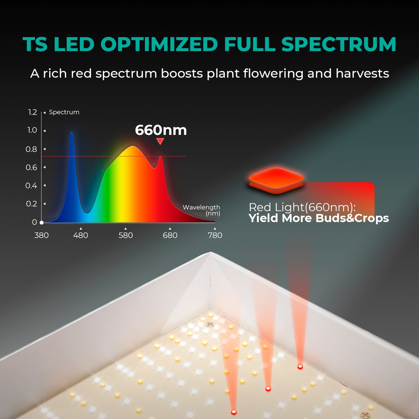 Mars Hydro TS 1000 LED Grow Light + 80x80x160cm Indoor Zelt Komplette Grow Zelt Kits Mit Temperatur Luftfeuchtigkeit Controller – Produktansicht 5