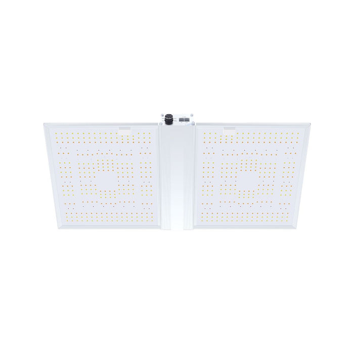Entdecken Sie das Nanolux RG Serie 320W Vollspektrum UV&IR LED-Panel, 800 µmol/s. Dank seines ultraflachen Designs und seiner Energieeffizienz passt es perfekt in alle Anbauräume.