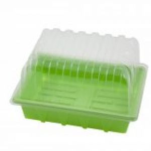 Propagator 32 für Eazy Plug 12er Anzuchttray (23x18x13 cm.)