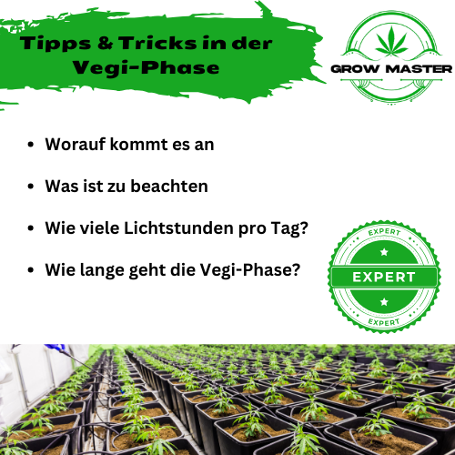 Tipps & Trick zum Anbauen – Produktansicht 4