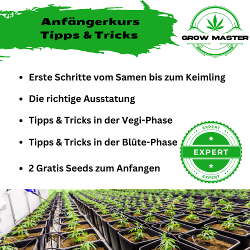 Tipps & Trick zum Anbauen