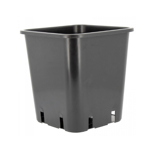 XXL Growbox LED Komplettset