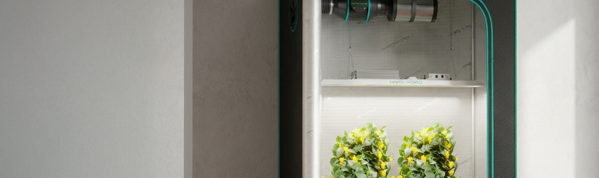 Growbox Komplettsets