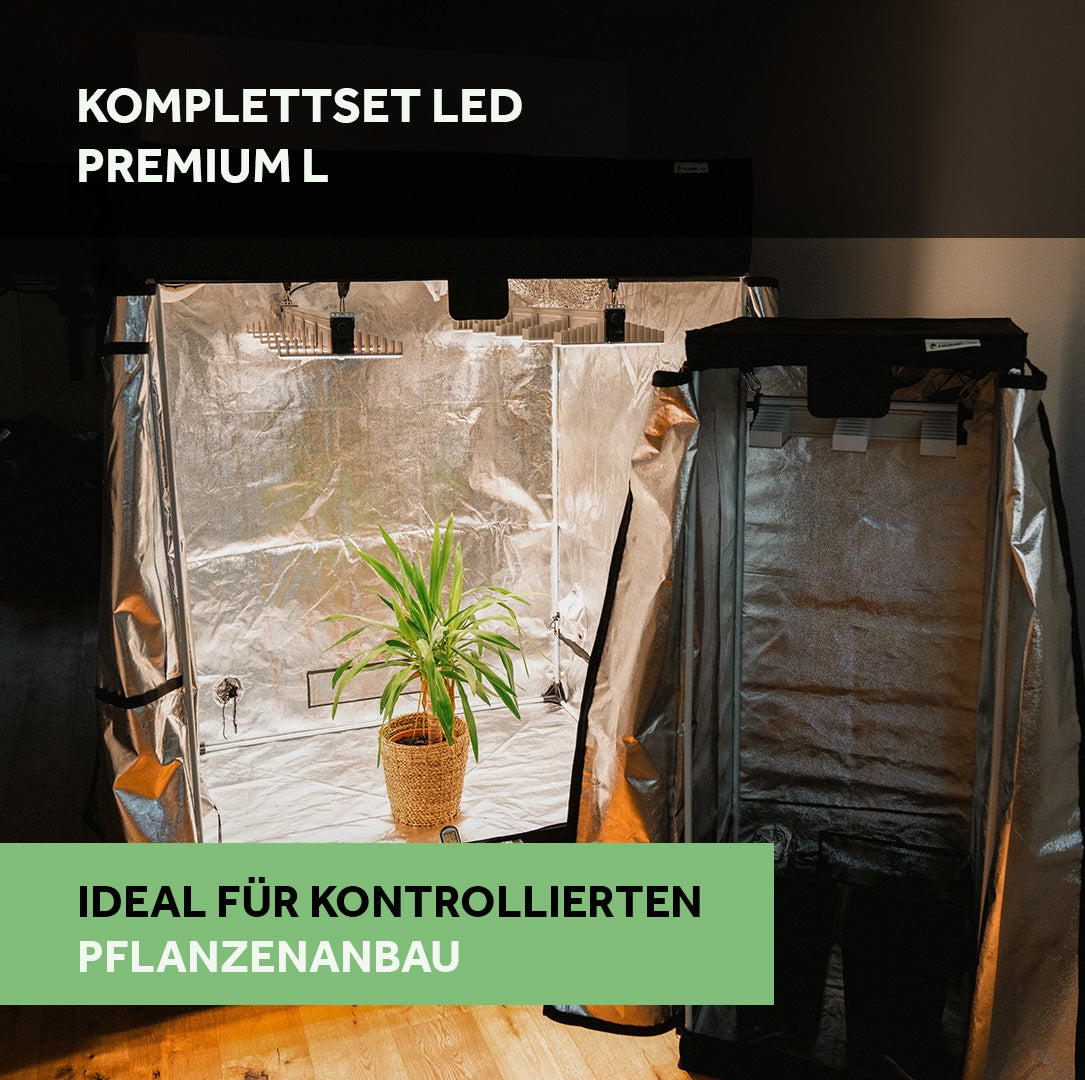 Grow Komplettset Premium L LED Growbox 150x150 mit Abluftsystem