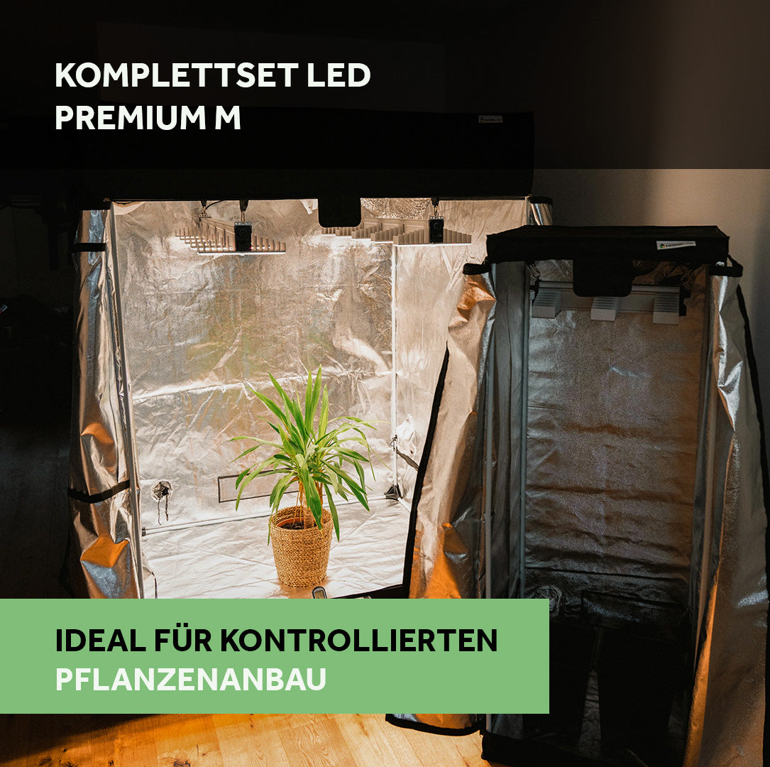 Grow Komplettset Premium M LED Growbox 120x120 mit Abluftsystem