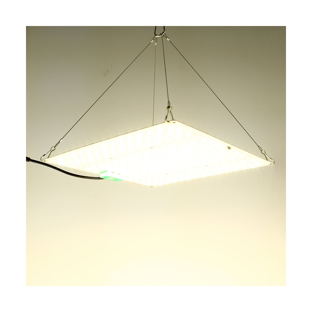 Effiziente LED-Beleuchtung Agrolight 150W für Keimung, Wachstum, Blüte und Fruchtphase