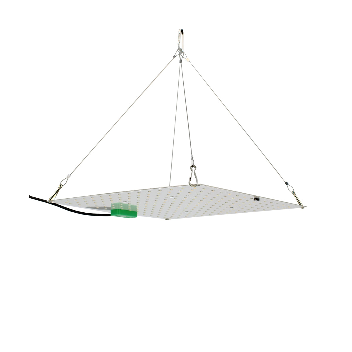 Effiziente LED-Beleuchtung Agrolight 150W für Keimung, Wachstum, Blüte und Fruchtphase