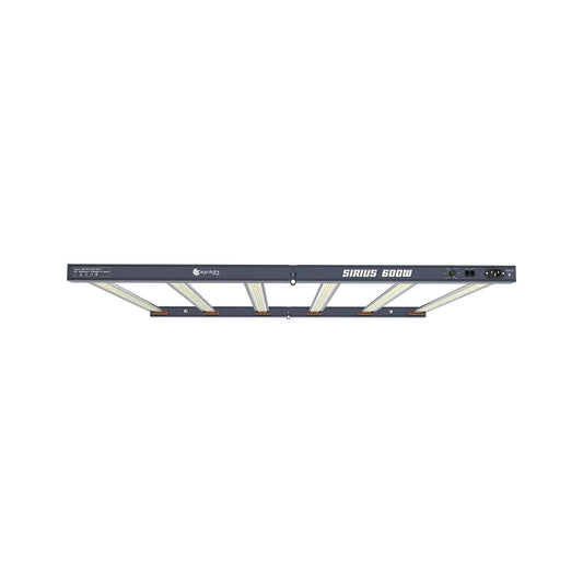 AGROLIGHT Sirius 600W LED-Panel beleuchtet Indoor-Grow-Zelt mit Pflanzen in allen Wachstumsphasen