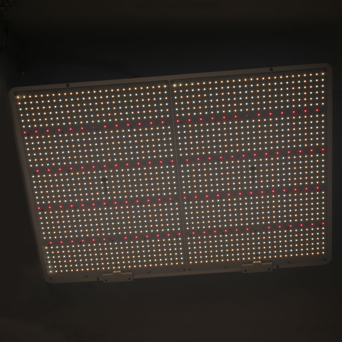 Agrolight Led QUANTUM BOARD - 660W - DIMMBAR – Produktansicht 2