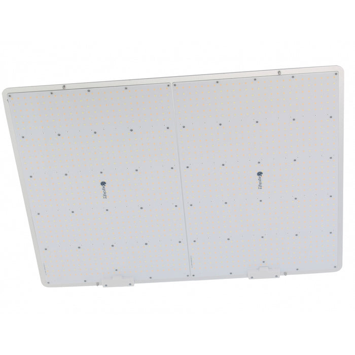 Agrolight Led QUANTUM BOARD - 660W - DIMMBAR