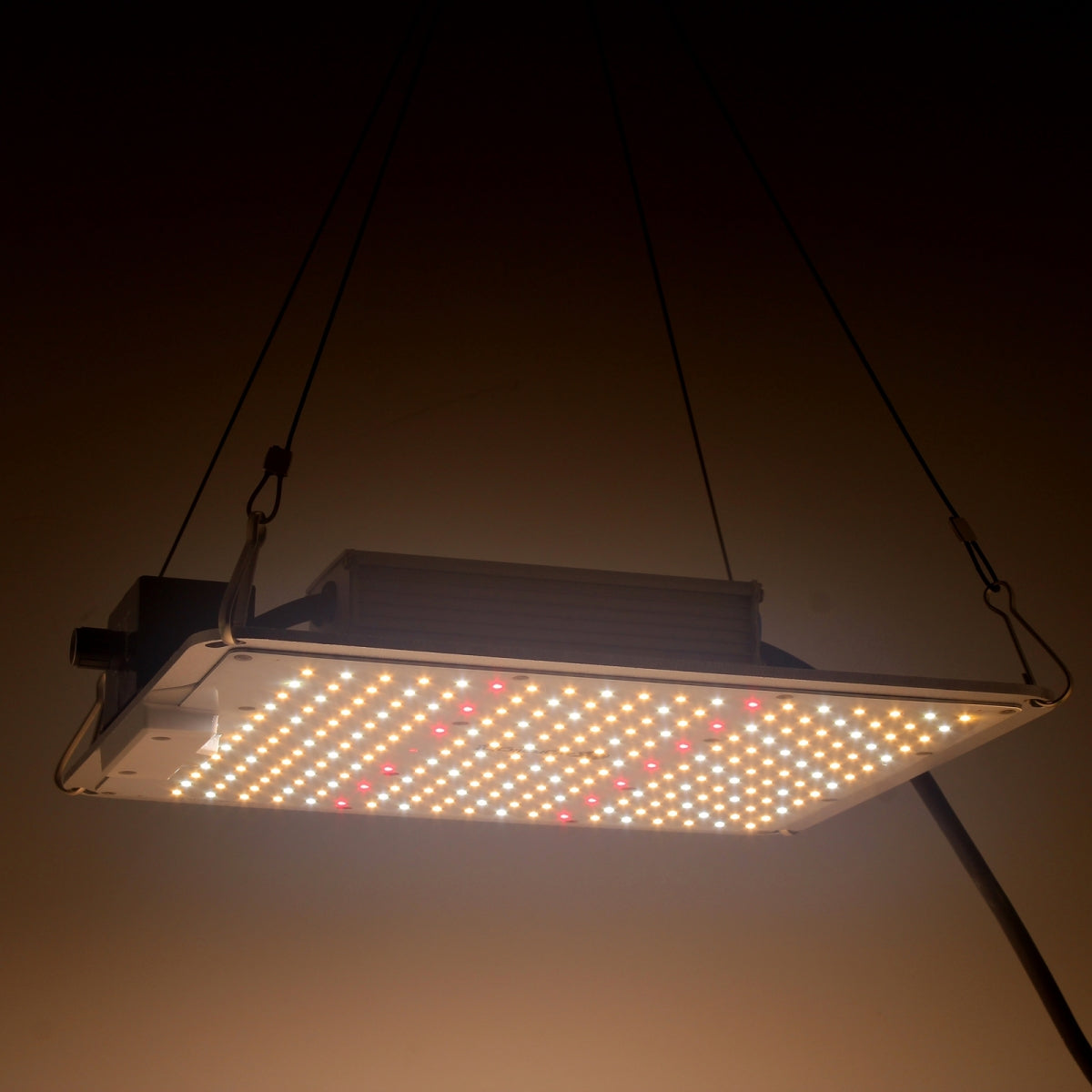 Agrolight Led Quantum BOARD - 120W - Dim. + RJ - Samsung – Produktansicht 4