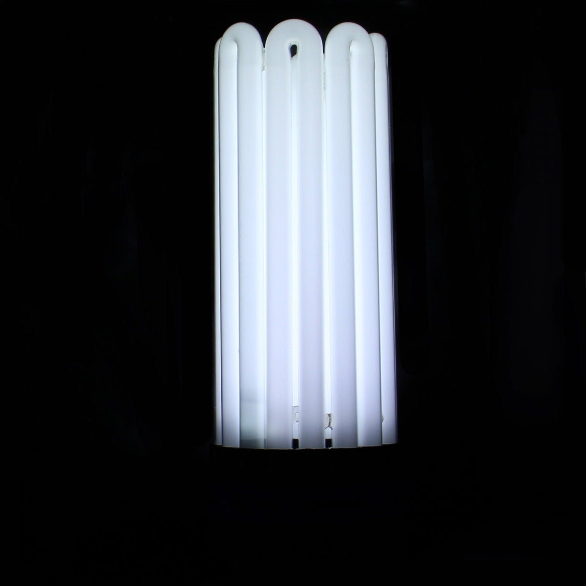 CFL-Lampe 250W Wachstum 6400K - FLORASTAR – Produktansicht 4
