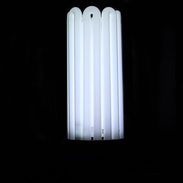 CFL-Lampe 250W Wachstum 6400K° - FLORASTAR