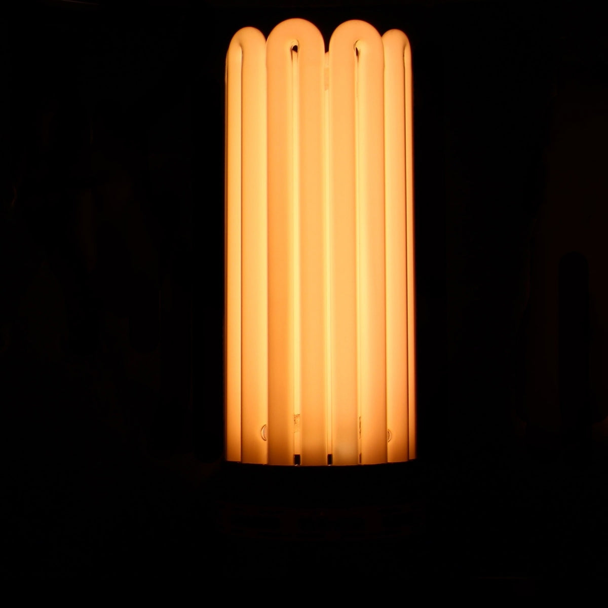 CFL-Lampe 300W Blüte 2100K - FLORASTAR – Produktansicht 5