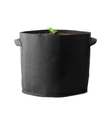 Caluma Set - 3 Plants Plus (100 x 100 cm, 320 W)