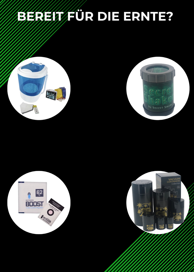 Bereit für die Ernte? Sicher dir das beste Equipment für deinen Grow