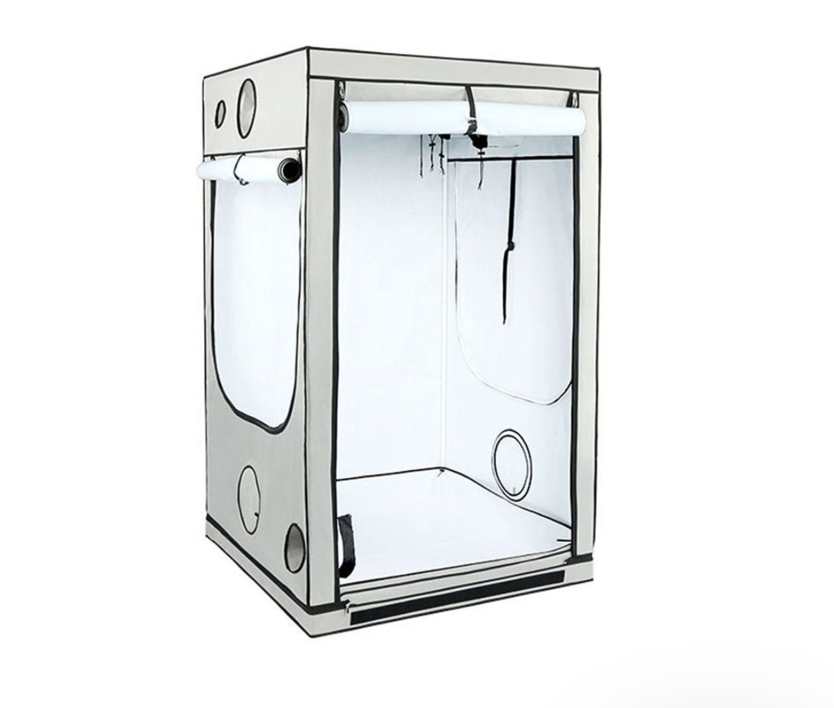 Homebox Ambiente Q120
