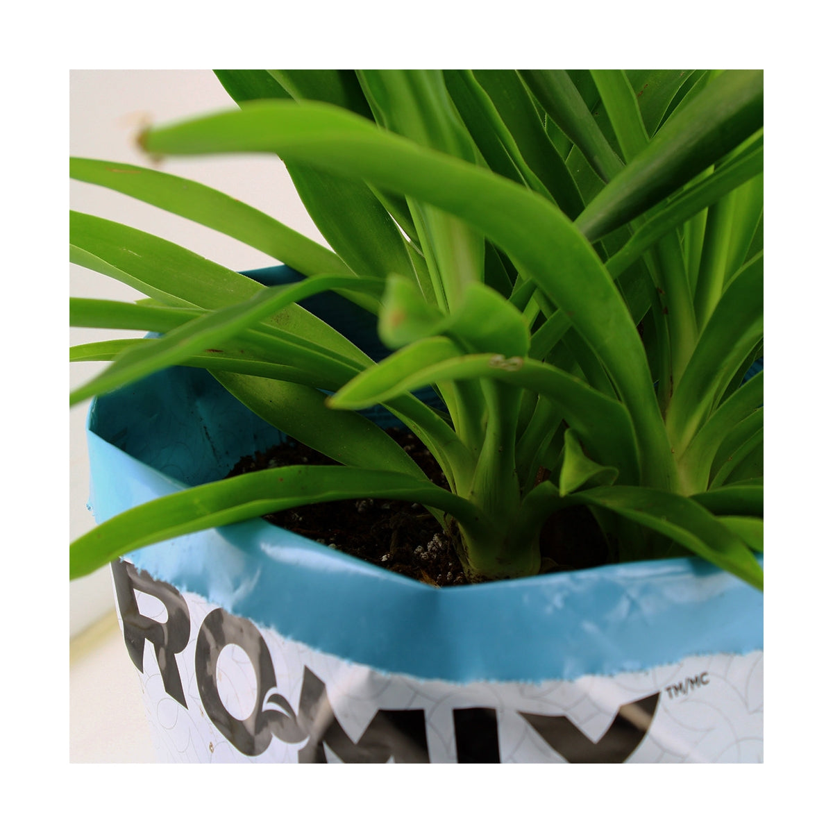 Gebrauchsfertiger Beutel – PRO-MIX HP – 14 Liter mit hochwertiger Grow Erde für Indoor- & Outdoor-Grow
