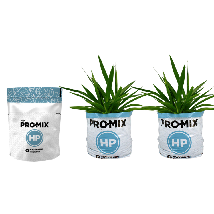 Growbox Komplettset 80x80x180 | LED | Low Budget – Produktansicht 15