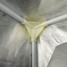 Optimales Klima mit dem Growbox Komplettset 80x80x180 | LED | Low Budget

Dank des Klemmventilators, der Zeitschaltuhr und des Thermo-Hygrometers hast du das Klima in deiner Growbox jederzeit unter Kontrolle. Deine Pflanzen erhalten genau die richtigen Bedingungen für maximales Wachstum