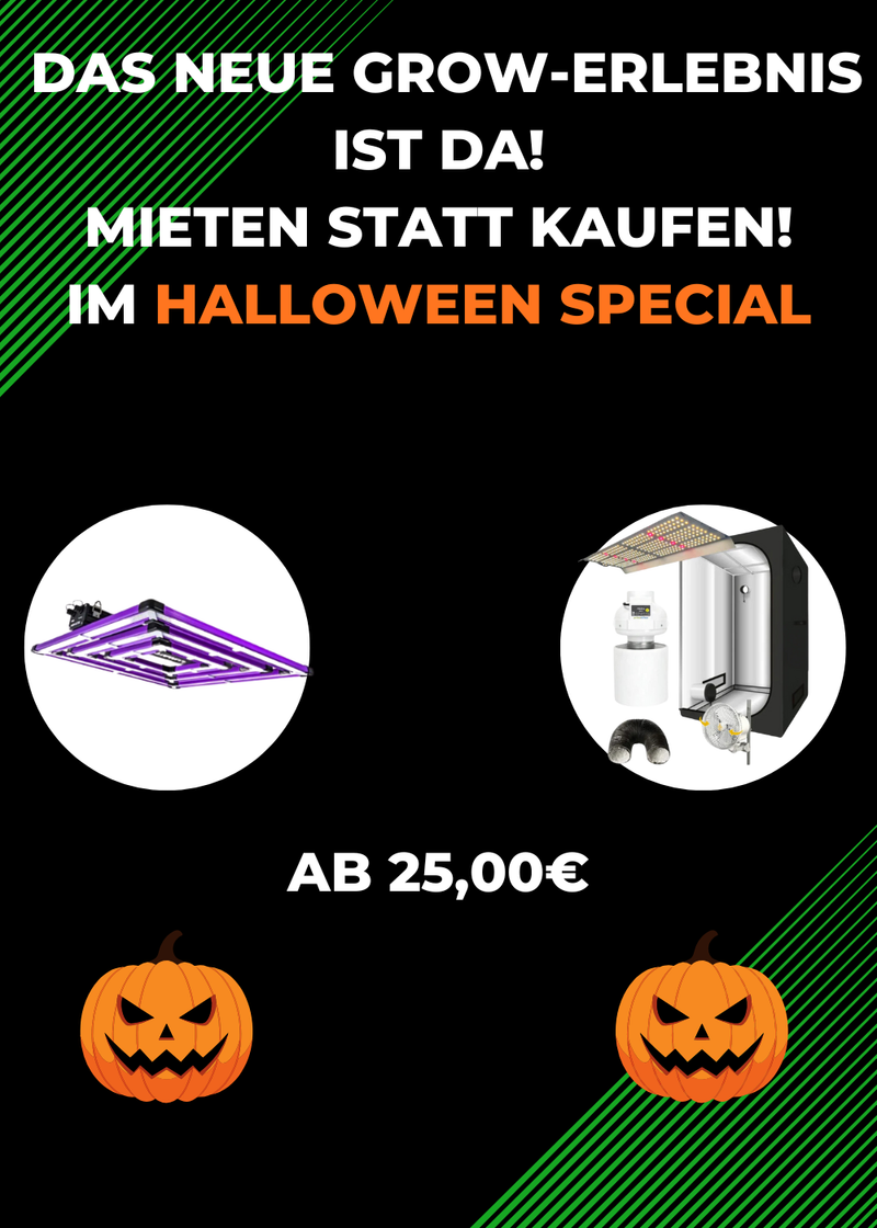 Sonderangebote zu Halloween