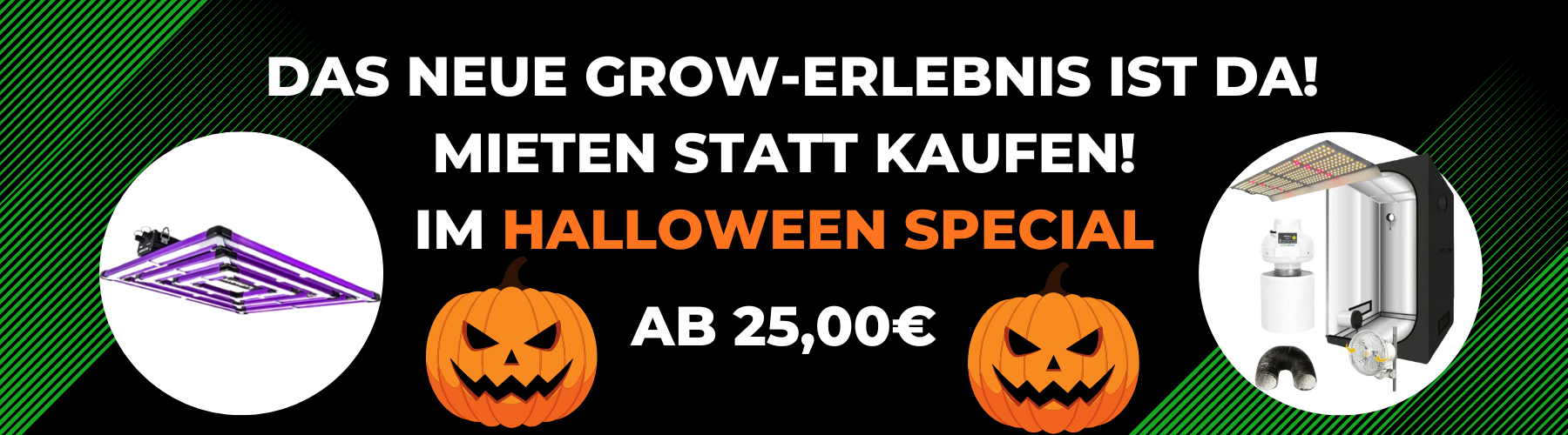 Sonderangebote zu Halloween