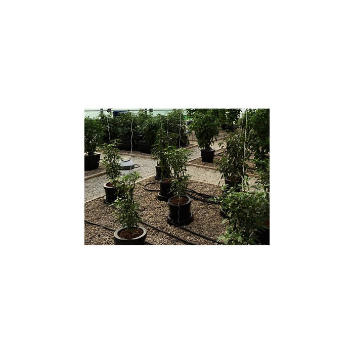 Flexibler 400-Liter-Tank mit Pumpe für IWS System