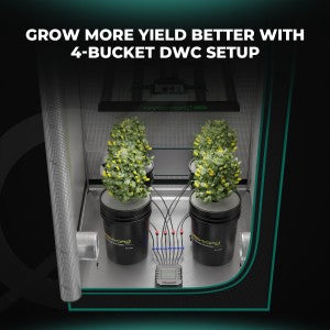 DWC-System mit intelligenter Steuerung und Luftpumpe
