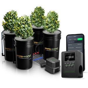 Mars Hydro Hydroponic DWC-System mit iTime Smart Timer