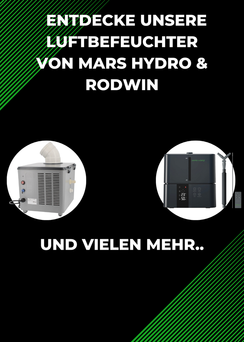 Entdecke unsere Luftbefeuchter 