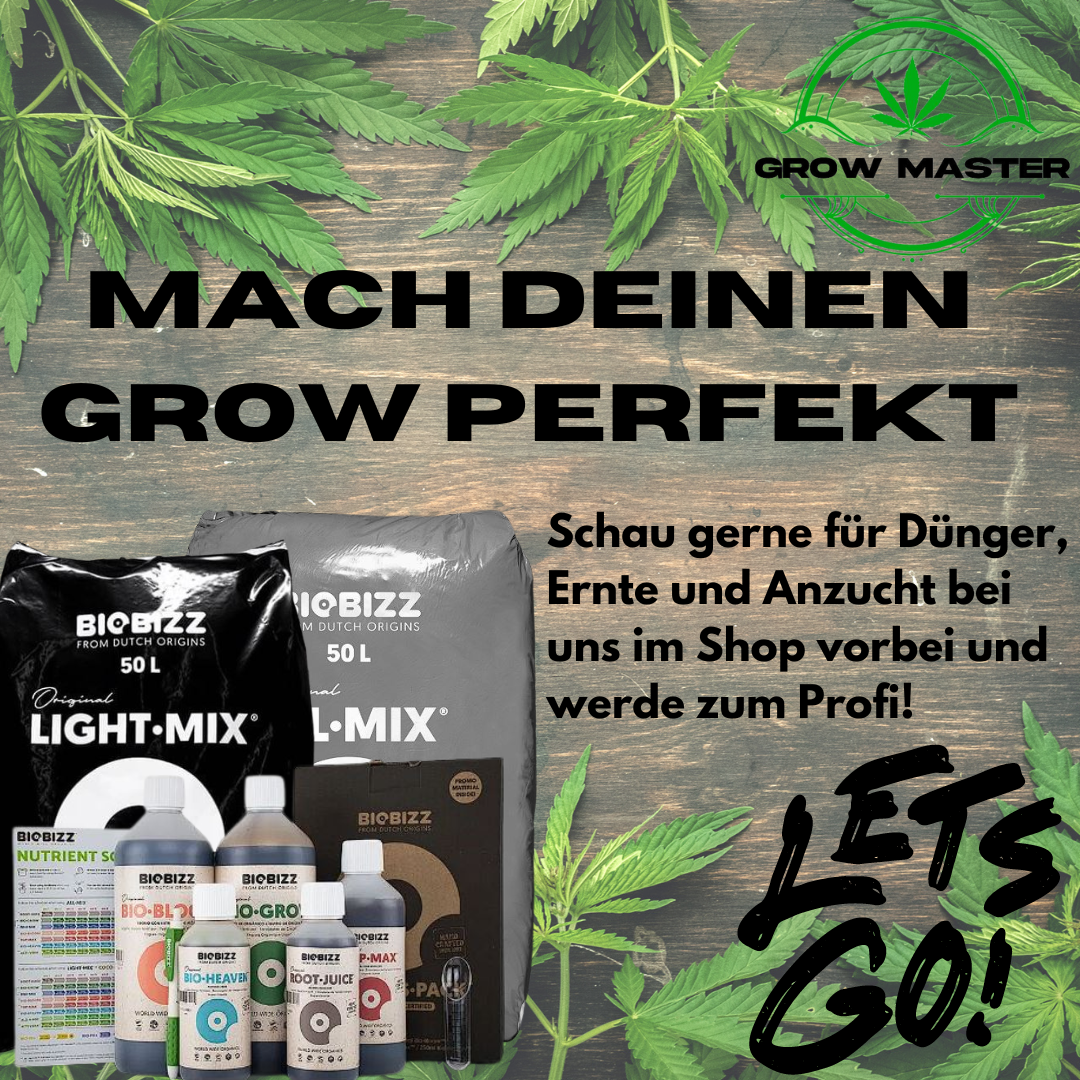Grow Komplettset L Indoor Growbox Set mit Aktivkohlefilter und Lüfter