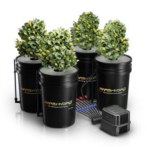 Mars Hydro Hydroponic DWC-System mit 4 Eimern

