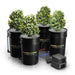Mars Hydro Hydroponic DWC-System mit 4 Eimern

