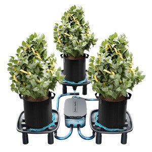 Mars Hydro Auto-Drainage System für Indoor Anbau