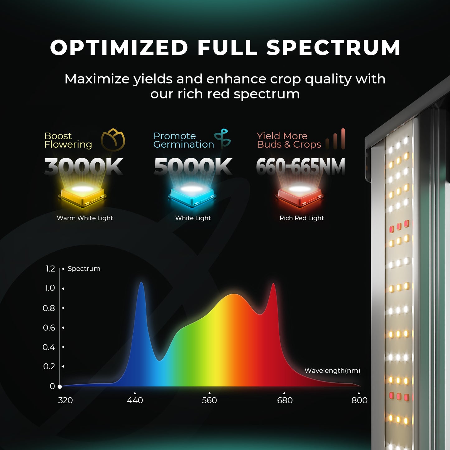Mars Hydro FC 1500-EVO Komplette Grow Tent Kits Samsung LM301H LED Grow Light + 80x80x160cm Indoor Zelt + 4" System – Produktansicht 4