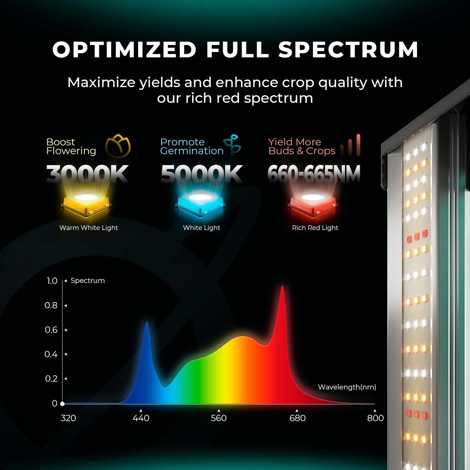 Mars Hydro FC4000 EVO LED Grow Light + 120x60x180cm Grow Tent Kits +4" Lüftungskits für 3 Pflanzen – Produktansicht 4