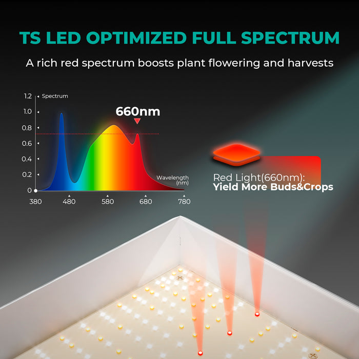 Mars Hydro TS 1000 Komplette Grow Tent Kits Dimmbare LED Grow Light+80x80x160cm Indoor-Zelt für 1-3 Pflanzen