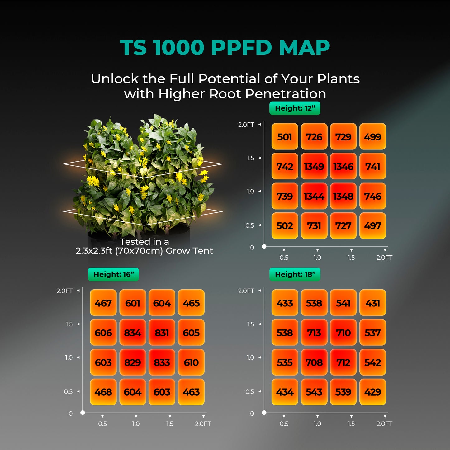 Mars Hydro TS 1000 Komplette Grow Tent Kits Dimmbare LED Grow Light+80x80x160cm Indoor-Zelt für 1-3 Pflanzen – Produktansicht 6