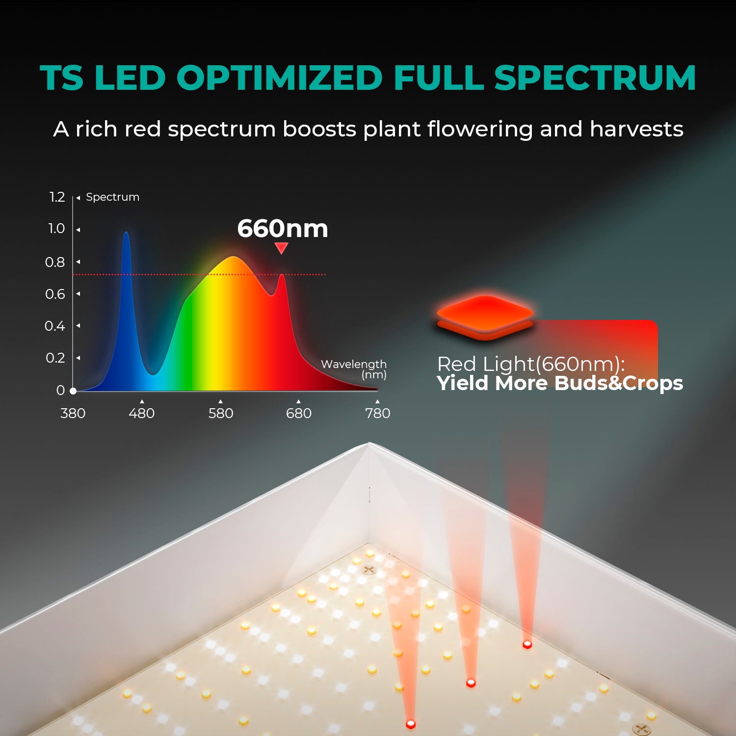 Mars Hydro TS 1000 LED Grow Light + 80x80x160cm Indoor Zelt Komplette Grow Zelt Kits Mit Temperatur Luftfeuchtigkeit Controller – Produktansicht 5