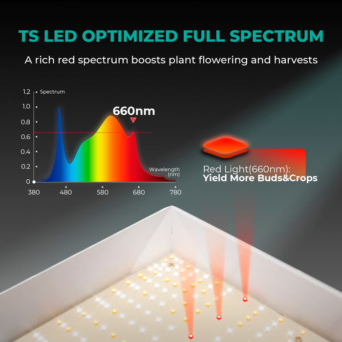 Mars Hydro TSL 2000 Komplettes Grow Tent Kits LED Grow Light+120x60x180cm Indoor Zelt+4′′ Belüftungssystem