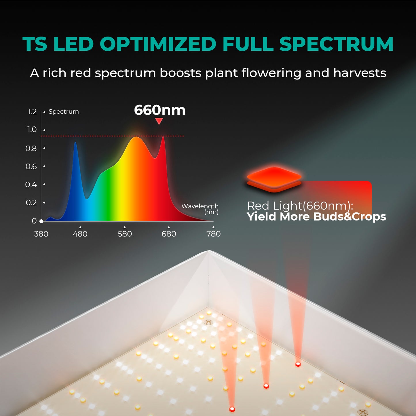 Mars Hydro TSW 2000 LED Grow Light+120x120x200cm Grow Tent Kits+6′′ Lüftungssystem Am besten für 4-6 Pflanzen – Produktansicht 4