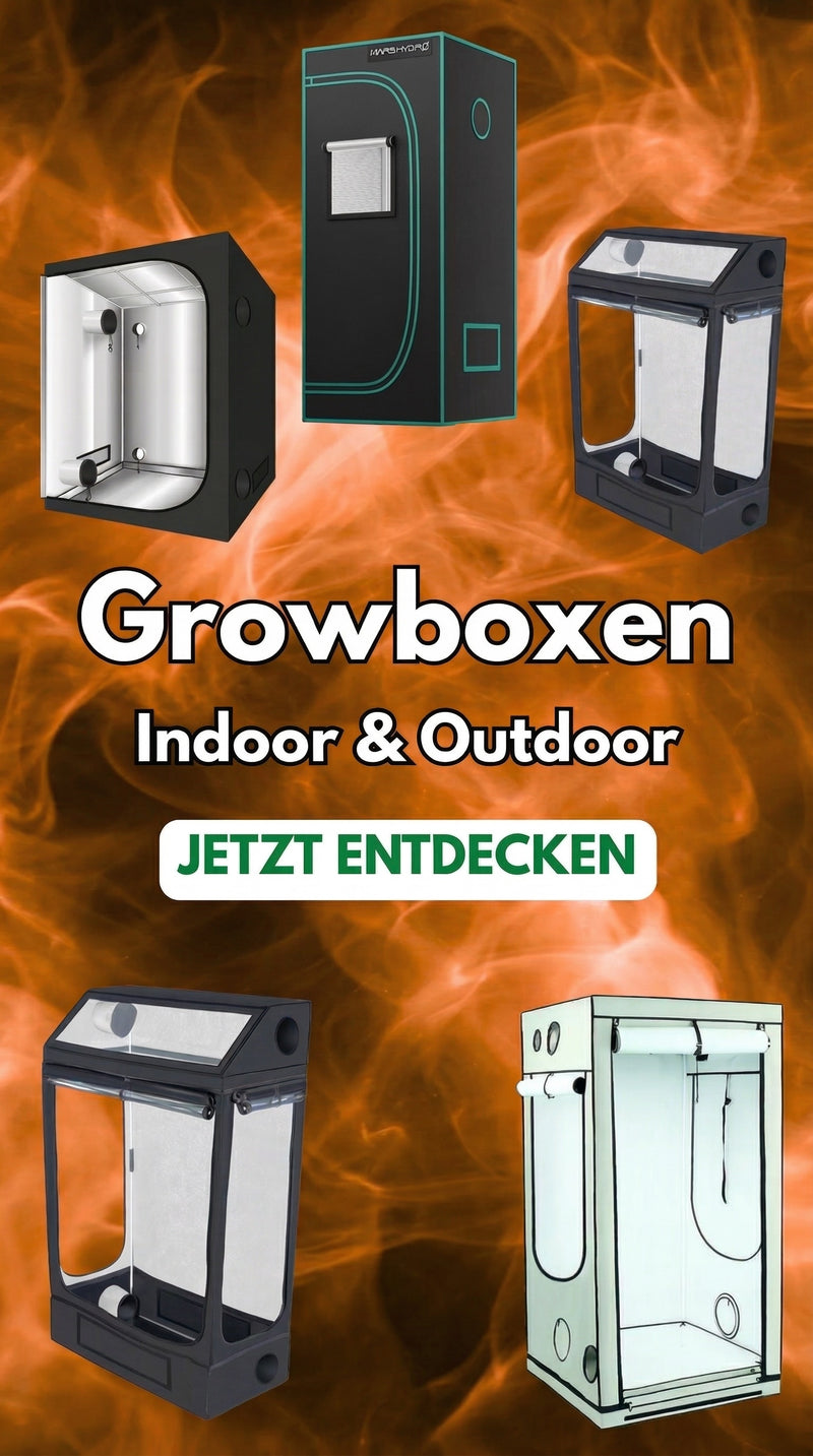 Growboxen Indoor und Outdoor