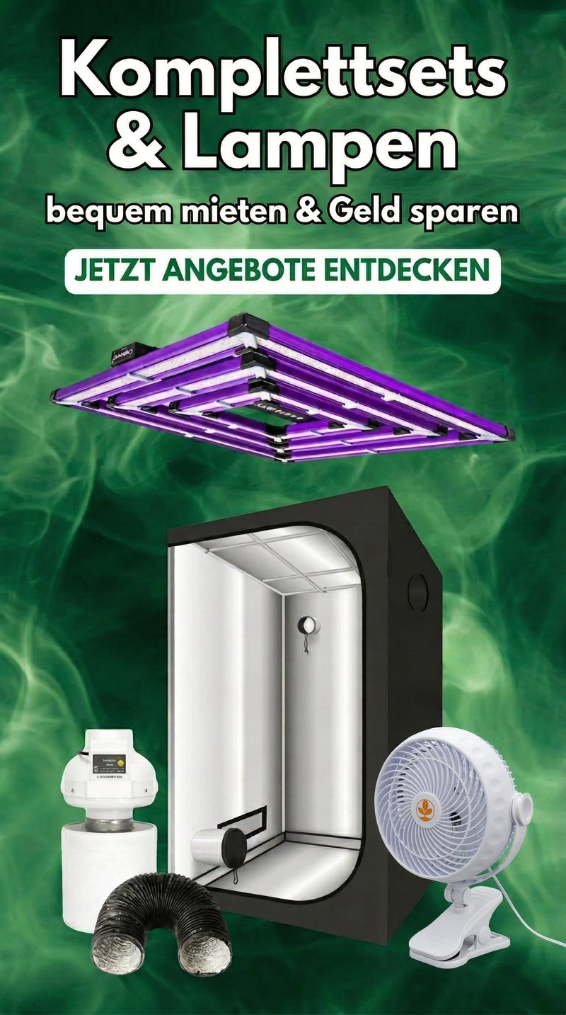 Vermietung Growboxen und Lampen
