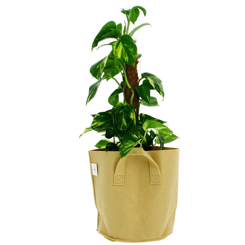 PACKUNG MIT 5 GREENCUBE TEXTIL-TÖPFEN - SAND 25L – Produktansicht 2