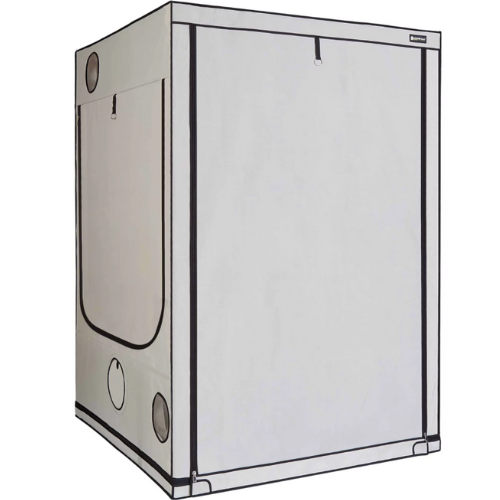 Homebox Ambient Q150+ Plus mit 2,25 m² Anbaufläche und 220 cm Höhe für gehobene Ansprüche im Indoor-Growing.
